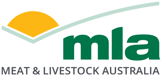 MLA